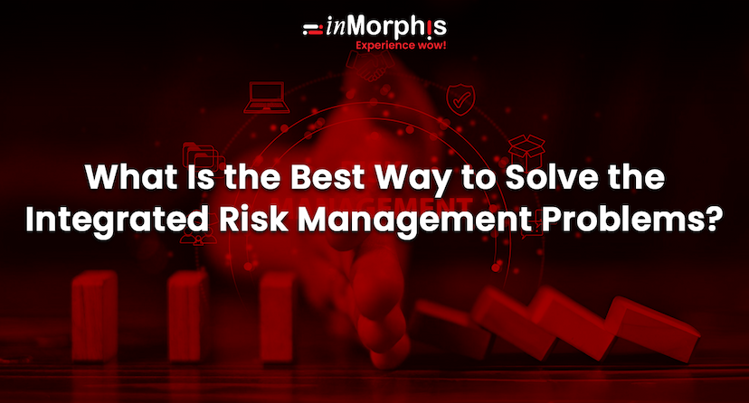 What Is the Best Way to Solve the Integrated Risk Management Problems? 