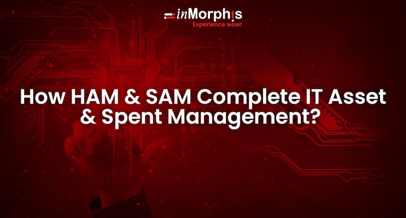 How HAM & SAM Complete IT Asset & Spent Management? 